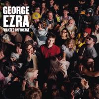 George Ezra - Green Green Grass - Sam Feldt Remix