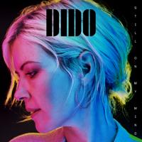 Dido - Thank You ( Éditions )