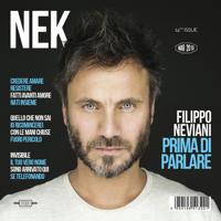 Nek - Amor Inmenso (Treemaine & Remaker Remix)
