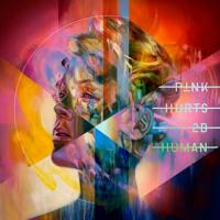 Pink - Trustfall (Sebastian Perez Remix)