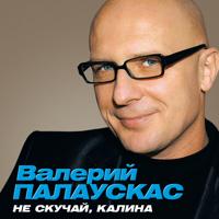 Валерий Палаускас - Зацелуй Меня (Kalashnikoff Eurodance Mix)